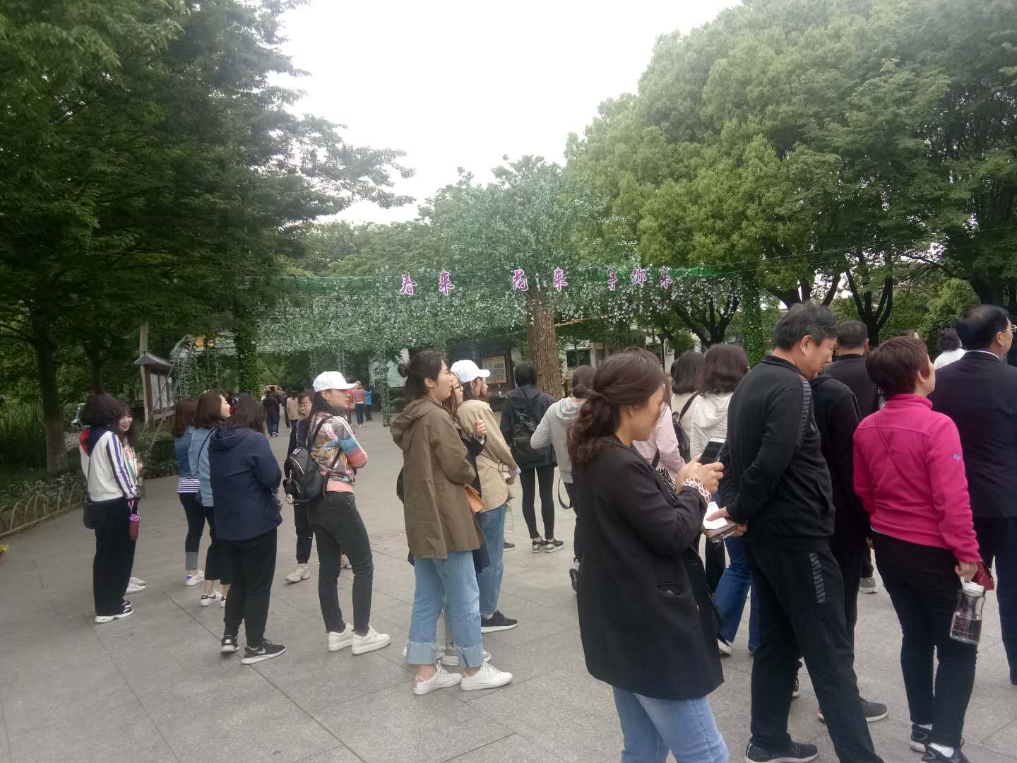 1556438005623027433.jpg 沙家浜现场教学2.jpg