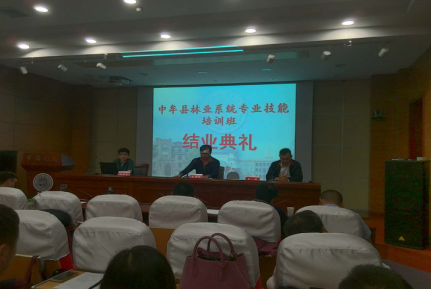 1483518729106077997.png 图片2.png